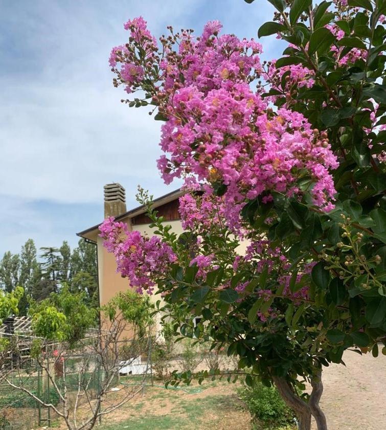 Agriturismo Monteroseo 베더졸 외부 사진